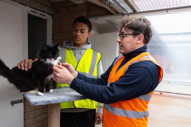 Which animals are most commonly in need of rescue and rehabilitation?